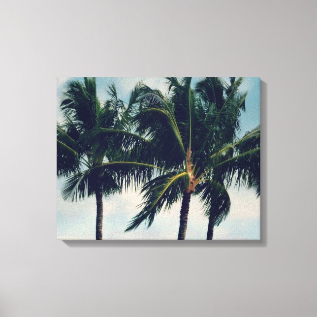 Hawaii Palm Trees Canvas Print (Front)