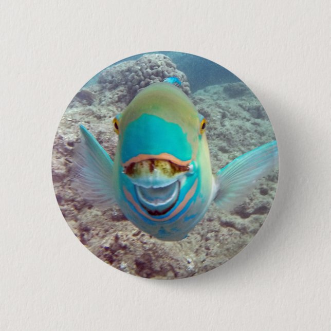 Hawaii Parrot Fish 6 Cm Round Badge (Front)
