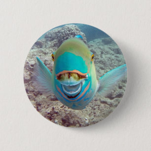 Hawaii Parrot Fish 6 Cm Round Badge