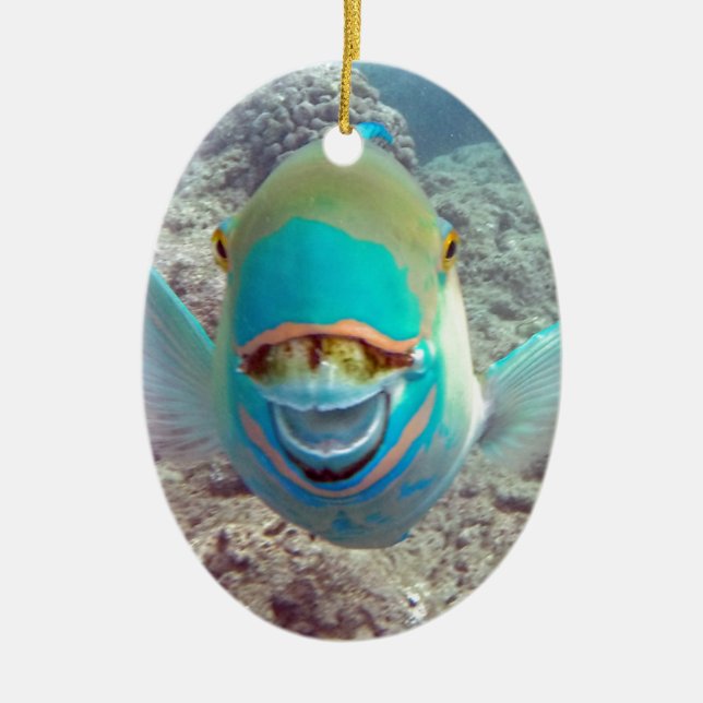 Hawaii Parrot Fish Ceramic Tree Decoration (Front)