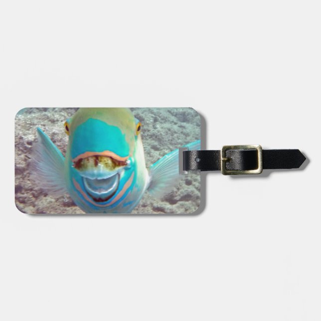 Hawaii Parrot Fish Luggage Tag (Front Horizontal)