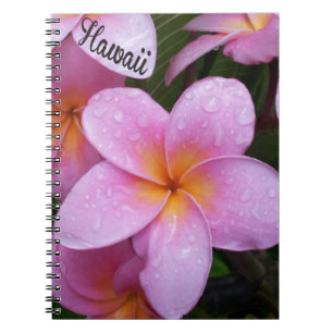 Hawaii Pink Plumeria Flowers Notebook