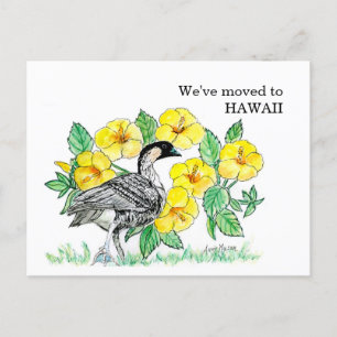 Hawaii Postcard