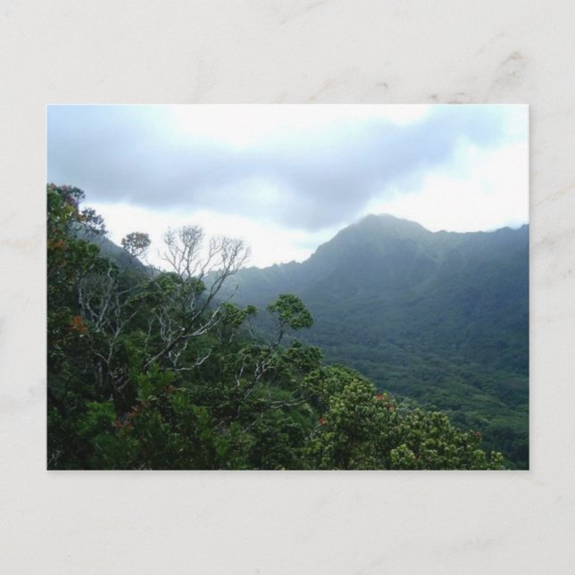 Hawaii Postcard Scene1 (Front)