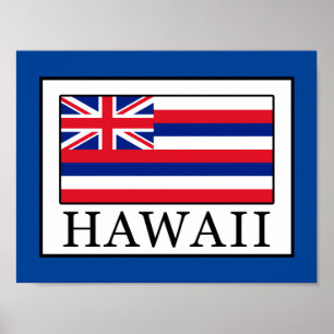 Hawaii Poster