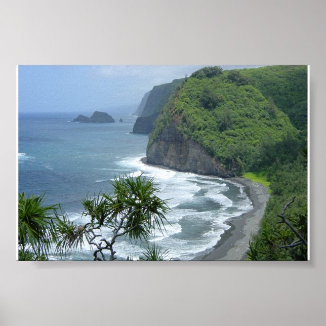 Hawaii Poster (Front)