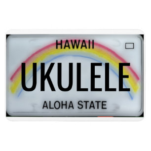 Hawaii Rainbow License Plate Flexible Magnet