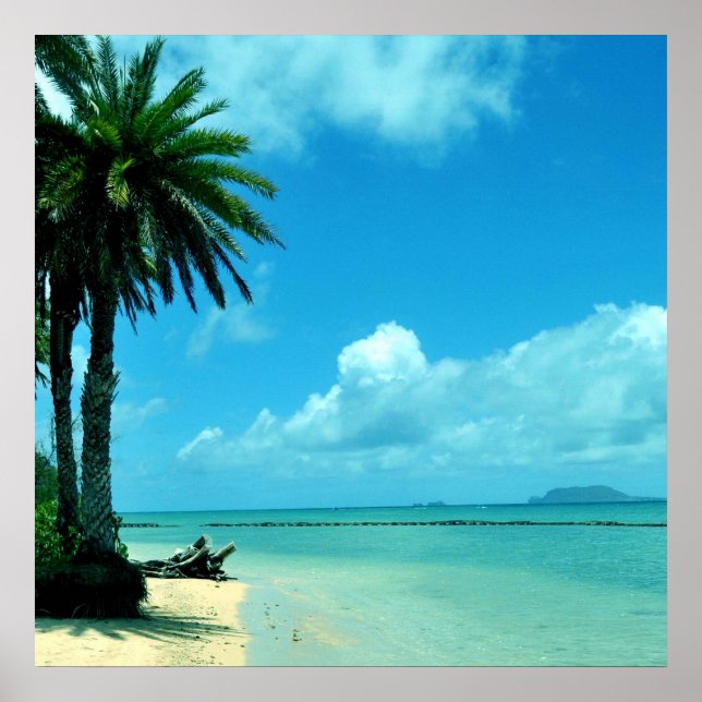 Hawaii Scenic Tropical Beach Poster (Front)