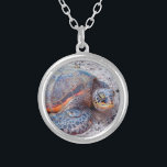 Hawaii Sea Turtle Honu Photo Simple Bold Modern Silver Plated Necklace<br><div class="desc">Sea turtles certainly know how to relax in the sun. Drift back to the warm breezes of the Hawaiian Islands whenever you wear this cute, stylish, photo charm necklace of a close up of a Hawaiian “honu” sea turtle. This necklace comes in small, medium and large sizes, as well as...</div>
