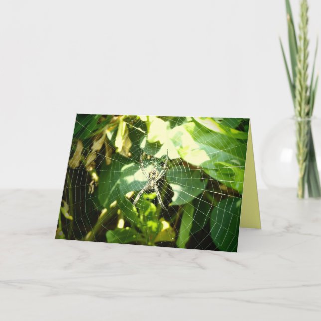 Hawaii spider web greeting card (Front)