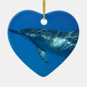 Hawaii Spinner Dolphin Ceramic Tree Decoration