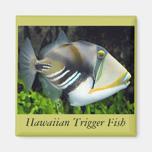 Hawaii state fish magnet
