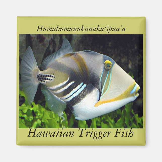 Hawaii state fish magnet (Front)
