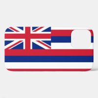Hawaii state flag