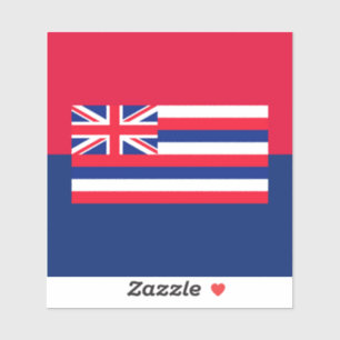 Hawaii State Flag Design