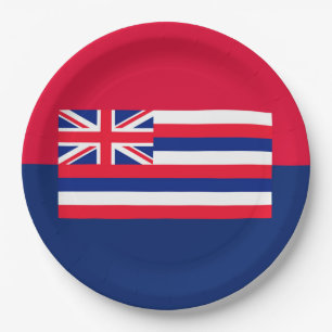 Hawaii State Flag Design Paper Plate