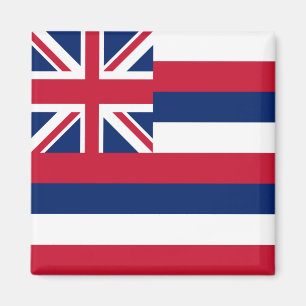 Hawaii State Flag Magnet