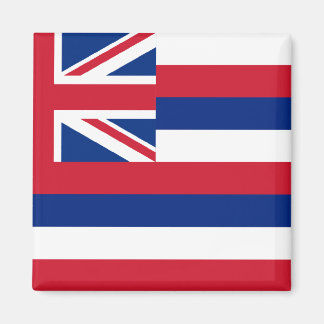 Hawaii State Flag Magnet