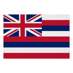 Hawaii State Flag Poster