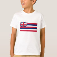 Hawaii State Flag