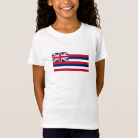 Hawaii State Flag