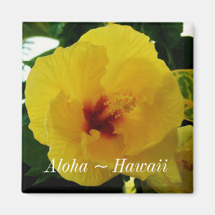 Hawaii State Flower Yellow Hibiscus Magnet