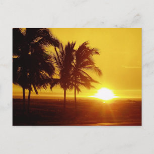Hawaii Sunset Postcard