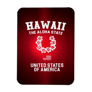 Hawaii The Aloha State Magnet