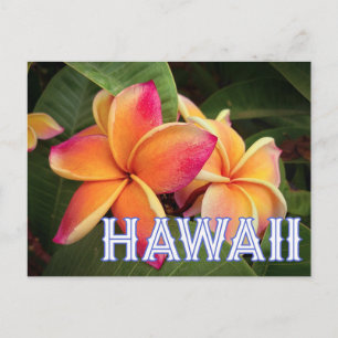 Hawaii Travel Postcard