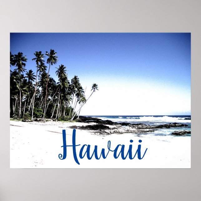Hawaii Travel Poster (Front)