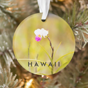 Hawaii Tropical Flower 2 Photo / Text Ornament