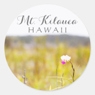 Hawaii Tropical Orchid Volcanoes National Park Classic Round Sticker