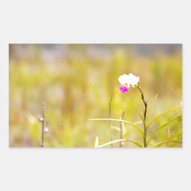 Hawaii Tropical Orchid Volcanoes National Park Rectangular Sticker (Front)