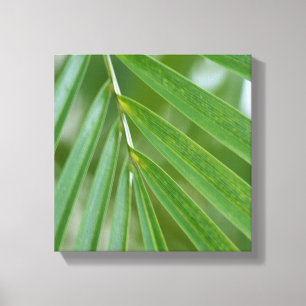 Hawaii Tropical Palm Tree Canvas Print