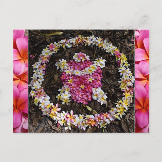 Hawaii Turtle Honu Plumeria Summer Flower Paradise Postcard (Front)
