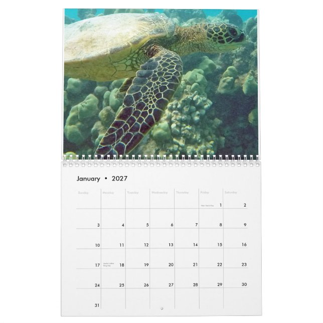 Hawaii Turtles Calendar (Jan 2027)