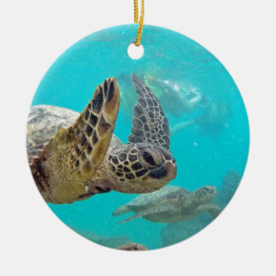 Hawaii Turtles Ceramic Tree Decoration
