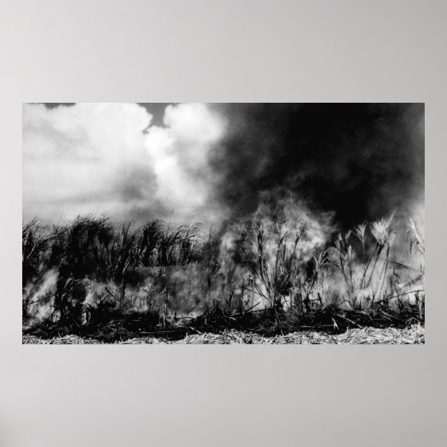 Hawaii - View of Sugar Cane Field on Fire Poster (Front)