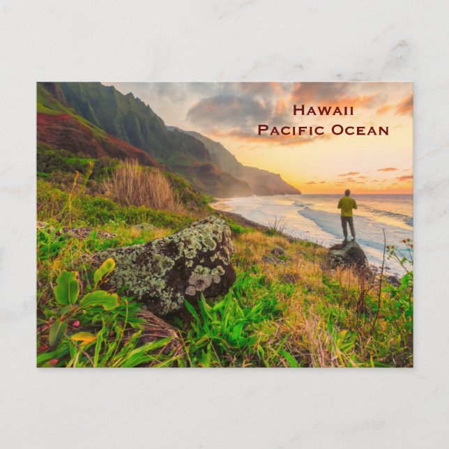Hawaii Vintage Tourism Travel Add Postcard (Front)