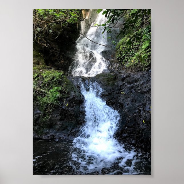Hawaii Waterfall Poster (Front)