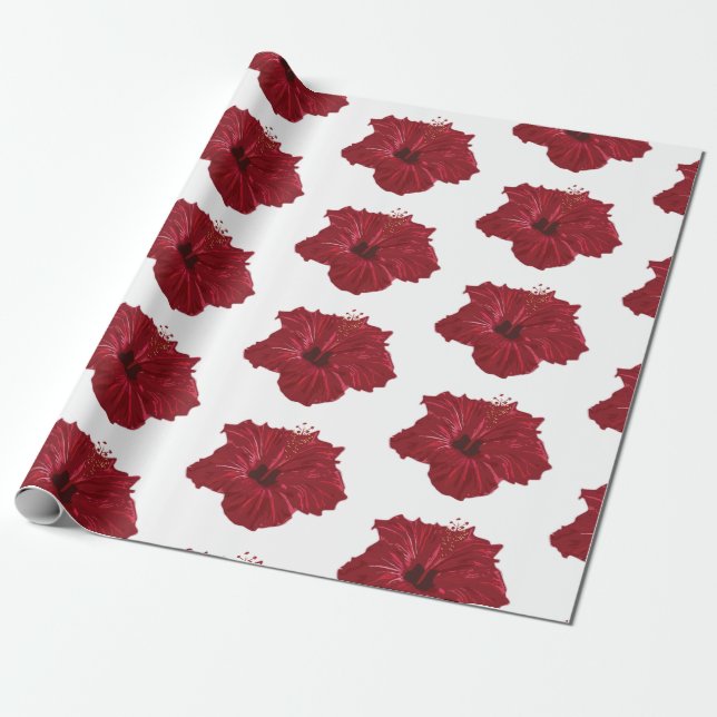 Hawaii Wrapping Paper (Unrolled)