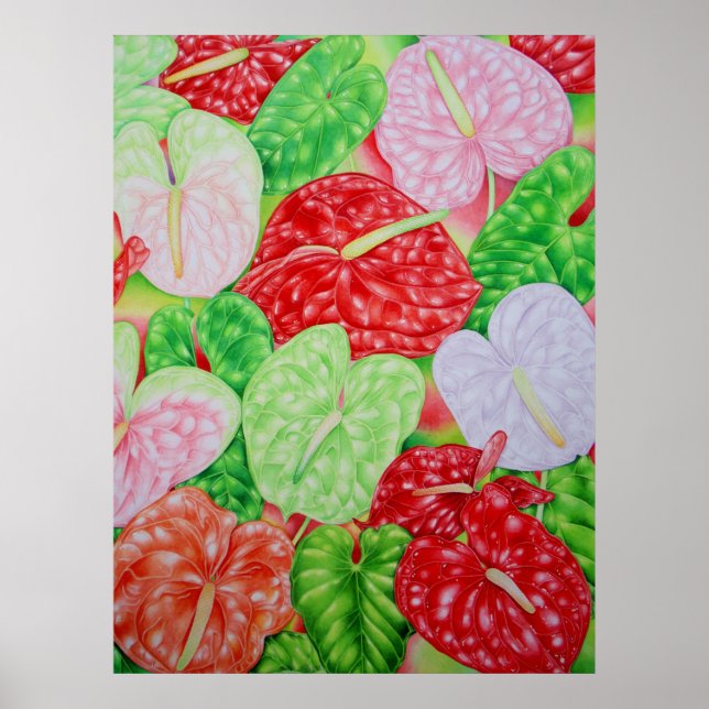 Hawaiian Anthuriums Poster (Front)