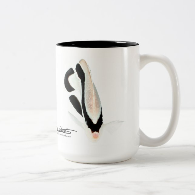 Hawaiian Bandit Angelfish Two-Tone Coffee Mug (Right)