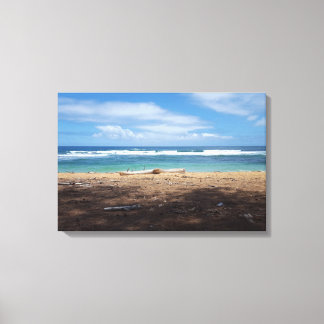 Hawaiian Beach Canvas Print