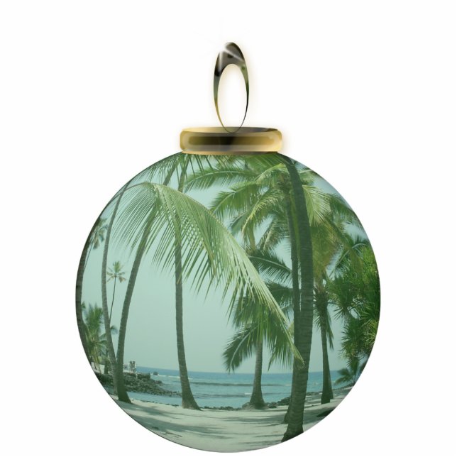 Hawaiian Beach Ornament Photo Sculpture Decoration (Front)