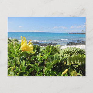 Hawaiian Beach Postcard