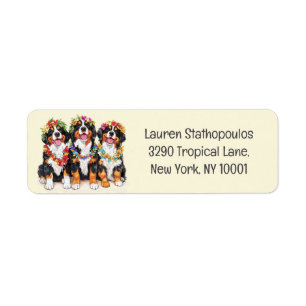 Hawaiian Bernese Mountain Dogs Flower Lei