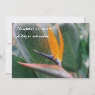 Hawaiian Bird of Paradise Invitations