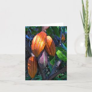 Hawaiian Cacao Card