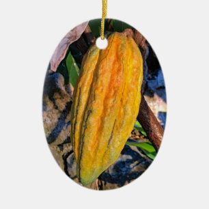Hawaiian Cacao Pod Ceramic Tree Decoration